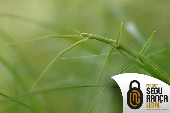 Capa do episódio #135: "Stick Insect" por Pitschuni