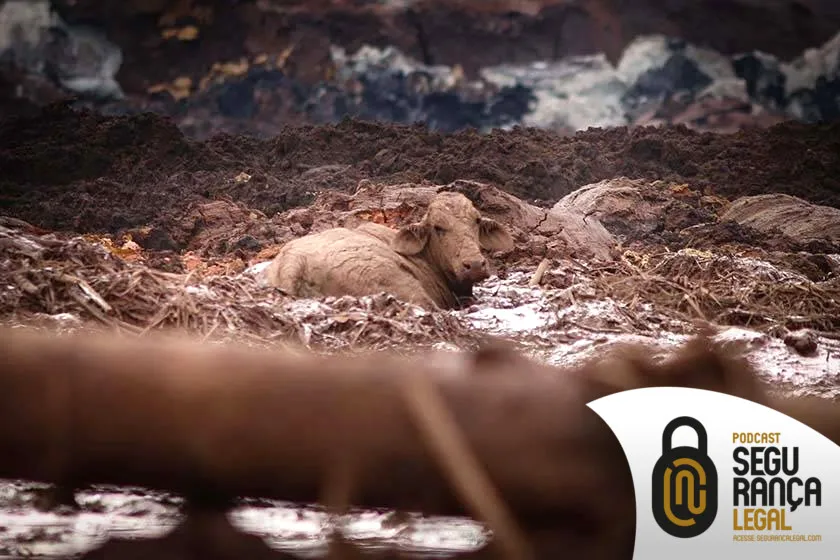 Capa do episódio #188: Episódio #188 - Segurança de Brumadinho